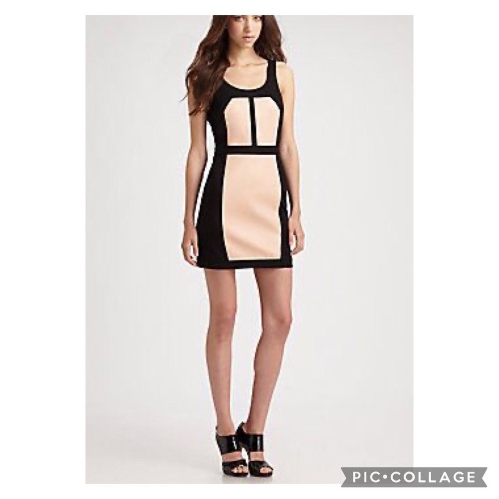 Rebecca Minkoff Stella leather paneled dress